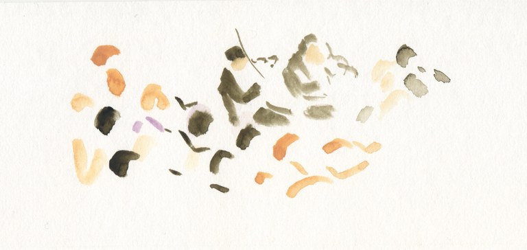 Satélite 04: Travesía romántica